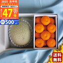 【マラソン限定クーポン配布中!】赤肉メロン&ハウスみかん《2025年 お中元専用商品 7/12〜8/12お届け予定(日時指定不可) 直送便》/御中元 夏ギフト ...