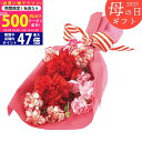 【今ならP5倍以上!☆クーポンも配布中】《母の日専用ギフト》カーネーション 花束《専用メッセージカード付き》5/12以降のお届け《直送便》/お母さん 母 ママ ...