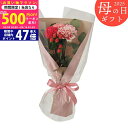 【今ならP5倍以上!☆クーポンも配布中】《母の日専用ギフト》メルシー・ブーケ《専用メッセージカード付き》5/12以降のお届け《直送便》/お母さん 母 ママ おば...