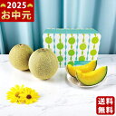 山形県産 華の会の庄内砂丘メロン 青果肉(2玉)《2025年 お中元専用商品 7/9~8/10お届け予定(日時指定不可) 直送便》/御中元 夏ギフト スイーツ デザート フルーツ 果物