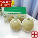 マスクメロン(2玉)《2025年 お中元専用商品 7/6~8/6お届け予定(日時指定不可) 直送便》/御中元 夏ギフト スイーツ デザート フルーツ 果物