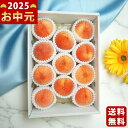 桃(2.7kg)《2025年 お中元専用商品 7/27~8/6お届け予定(日時指定不可) 直送便》/御中元 夏ギフト スイーツ デザート フルーツ 果物