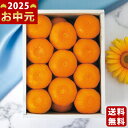 佐賀県産 JAグループ佐賀 温室みかん(1.5kg)《2025年 お中元専用商品 7/3〜8/12お届け予定(日時指定不可) 直送便》/御中元 夏ギフト スイー...
