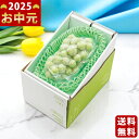 まるごとフローズン シャインマスカット《2025年 お中元専用商品 冷凍 直送便》/御中元 夏ギフト スイーツ デザート フルーツ 果物