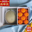 赤肉メロン&ハウスみかん《2025年 お中元専用商品 7/12〜8/12お届け予定(日時指定不可) 直送便》/御中元 夏ギフト スイーツ デザート フルーツ 果...