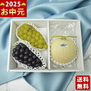 【マラソン終了までP5倍以上】夏のフルーツ詰合せ《2025年 お中元専用商品 7/12〜8/3お届け予定(日時指定不可) 冷蔵 直送便》/御中元 夏ギフト スイ...