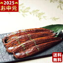 大森淡水 国産うなぎ蒲焼(長焼)(3尾)《2025年 お中元専用商品 冷凍 直送便》/御中元 夏ギフト 海鮮 魚 魚介 おかず