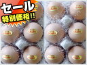 【ふるさと納税】会津の大自然で育った「烏骨鶏」のたまご 12個(6個×2) 卵 烏骨鶏 たまご 生卵 生たまご 希少 卵かけご飯 TKG 目玉焼き だし巻き 玉子焼き オムレツ 食品 F4D-0132