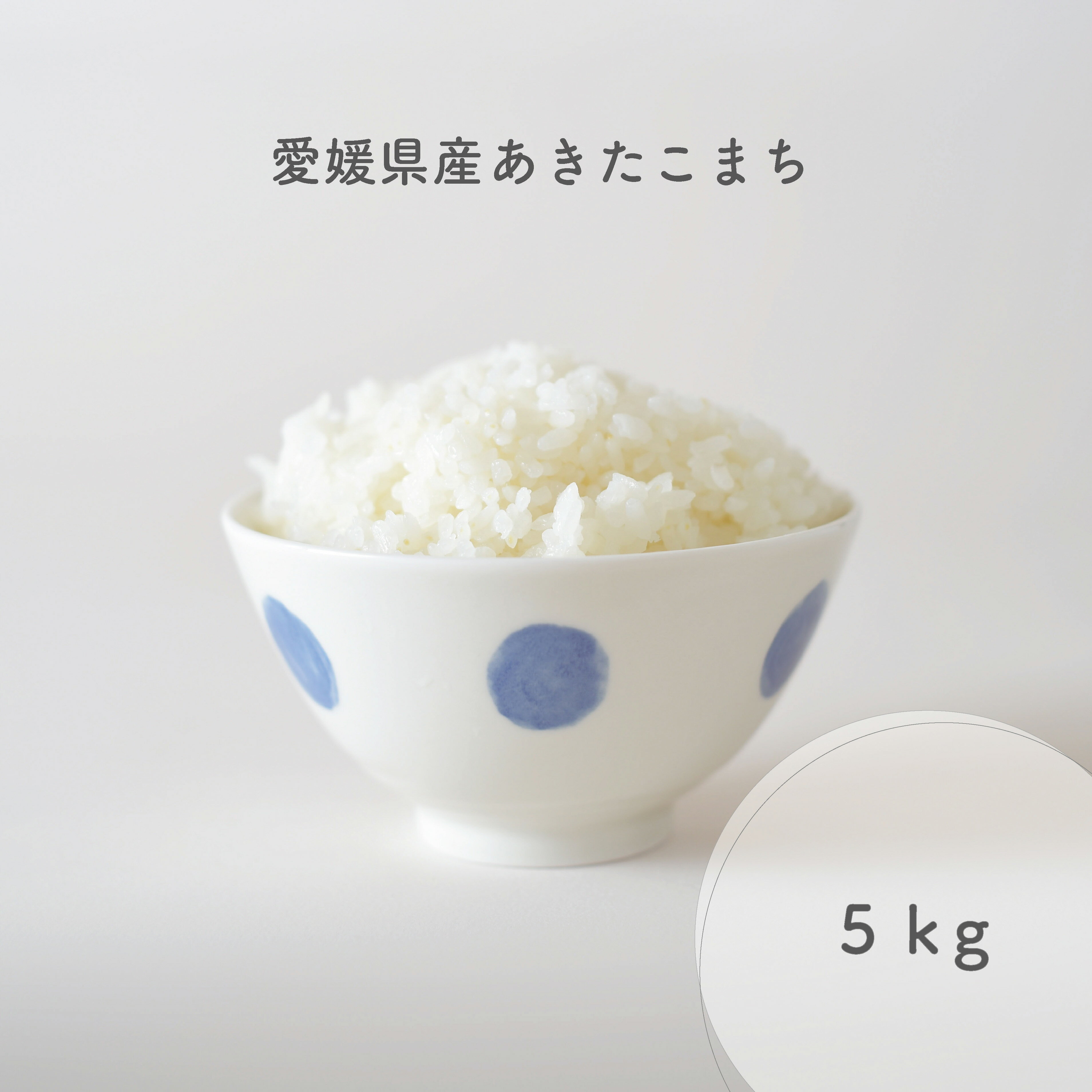 愛媛県産 あきたこまち 5kg 令和5年産使用 白米 精米 