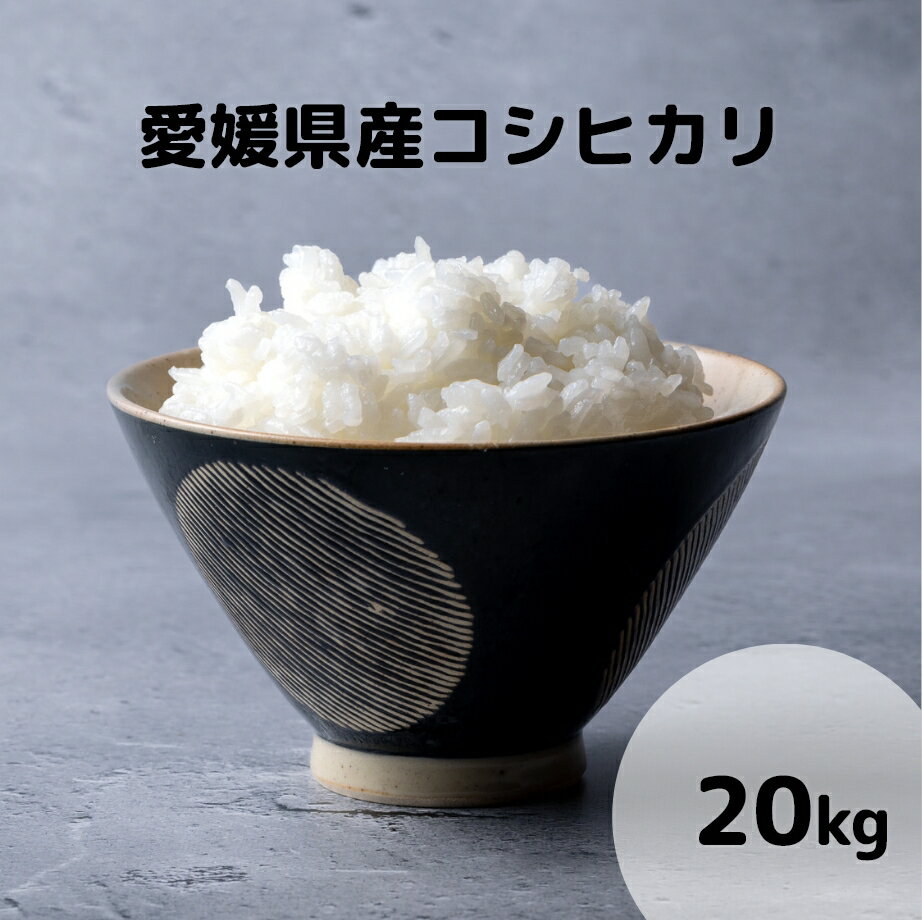 愛媛県産 コシヒカリ 20kg ( 10kg × 2 ) 令和3年産使用 白米 精米...