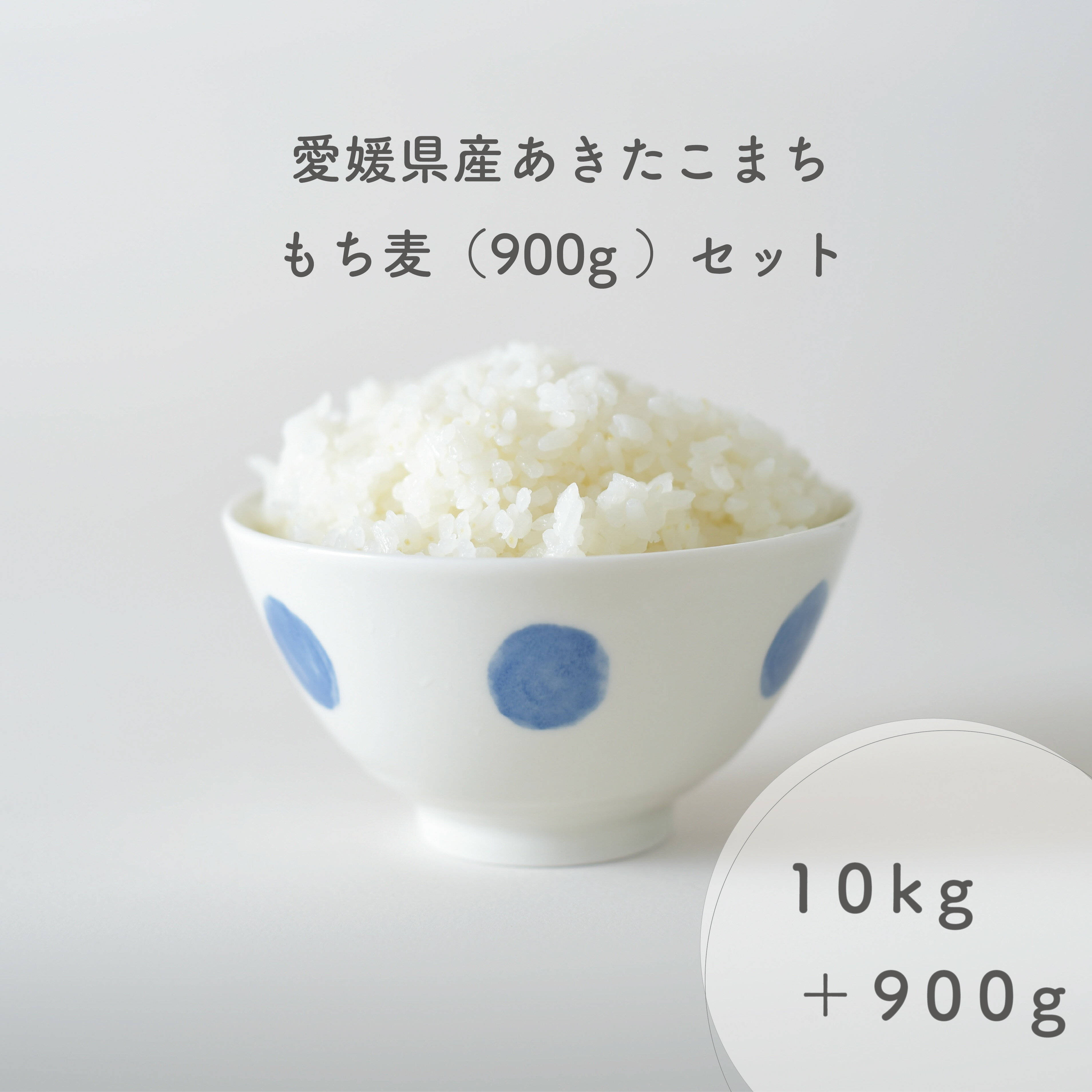 愛媛県産 あきたこまち 10kg 令和5年産使用 もち麦 9