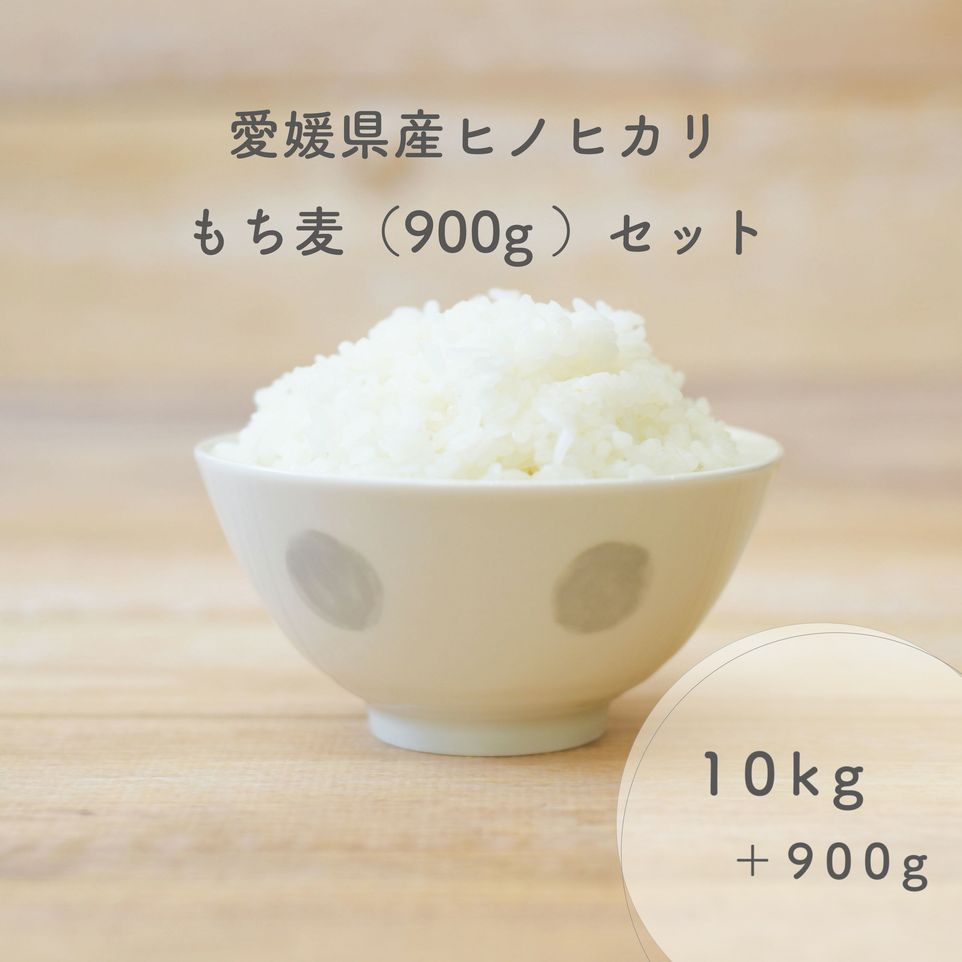 愛媛県産 ヒノヒカリ 10kg 令和5年産使用 もち麦 90