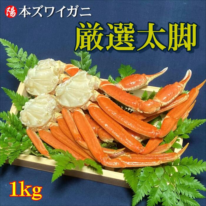 ボイル本ズワイガニ脚 1kg(3肩～5肩前後)【送料無料 ボイル 特大 最高級 冷凍 海鮮 蟹 かに かに脚 かに足 カニ脚 カニ足 脚 肩 ずわいがに ズワイガニ 鍋 お取り寄せ 贈答品 ギフト父の日 お中元 BBQ】