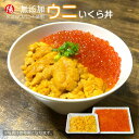 \クーポン対象/ウニいくらセット c/d/e 【送料無料 うに 雲丹 冷凍生うに 無添加 ミョウバン不使用 いくら イクラ 鮭 醤油漬け 刺身 海鮮丼 寿司ネタ...