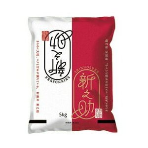 新米 令和7年度産 新潟産 新之助 1回注文 1袋 5kg