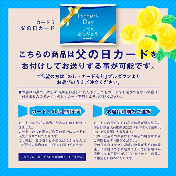 エントリーでP5倍 先着300円OFFクーポン ビール ギフト サッポロ エビスビールセット YE3D エントリーでポイント5倍（4月27日09:59迄）