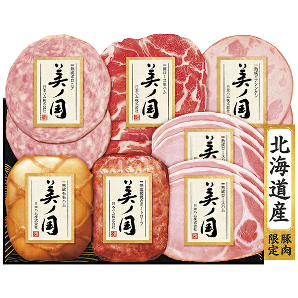 日本ハム 北海道 プレミアム 美ノ国 ハム詰合せ UKBS‐56 P42