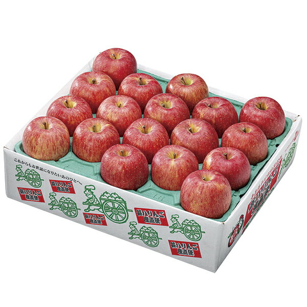 サンふじ AP‐2 P51