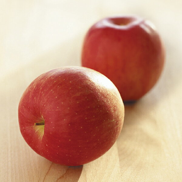 よっちゃんりんご（葉とらずサンふじ＆王林） YO‐R10 P51