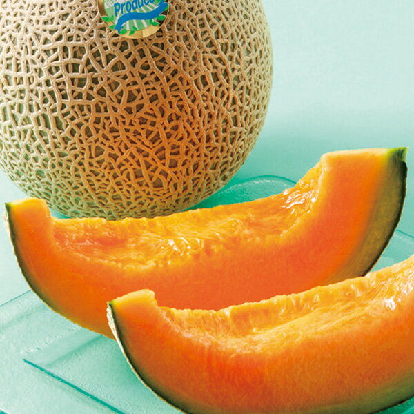 エントリーでP5倍 ［北海道］富良野産 ルピアレッド 約1.6kg×2玉 エントリーでポイント5倍（7月11日01：59迄）