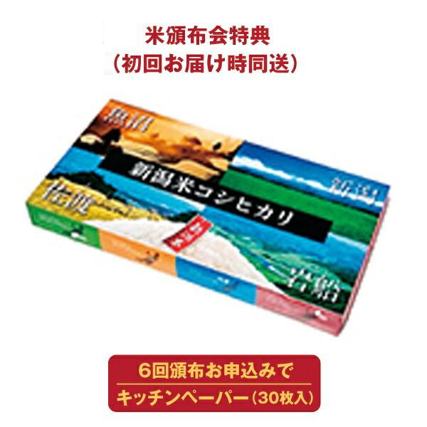 埼玉県産 彩のきずな 6回コース 1袋 5kg （毎月/半年）