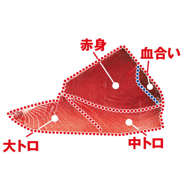 東京 鈴富天然本まぐろ断面切り 腹：赤身、中トロ、大トロ