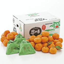 ［熊本・苓北］越冬袋かけみかん 夢味ときめき 大サイズ約30個(4)