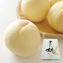 御中元 JA岡山西総社もも生産組合厳選白桃5~6個 OM-A P49