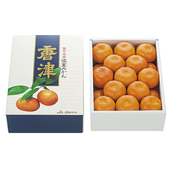お中元 ギフト 送料無料 （一部地域）ハウスみかん（Mサイズ） SG-M P49