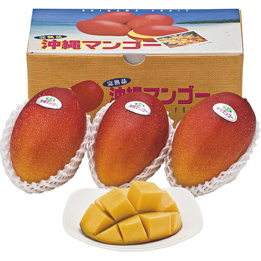 御中元 マンゴー AM-T P47 御中元 マンゴー AM-T P47