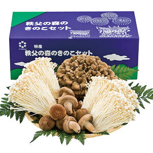 お歳暮 御歳暮 プレゼント 秩父の森のきのこセット 産地直送品 代金引換不可