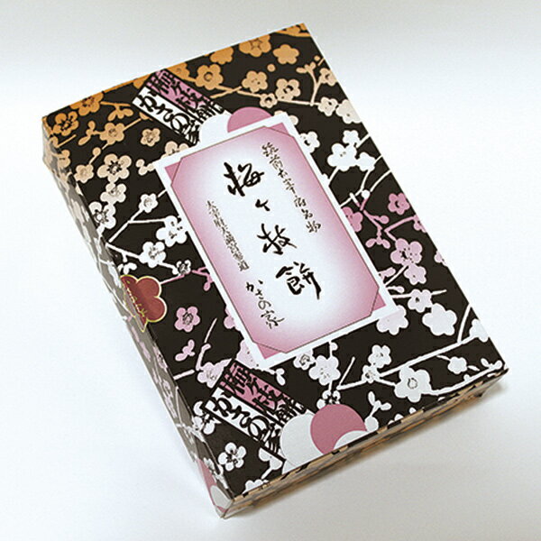 ����ȥ꡼��P5�� �����Τ� �ߥ����� ����ȥ꡼�ǥݥ����5�ܡ�4��10��01��59����