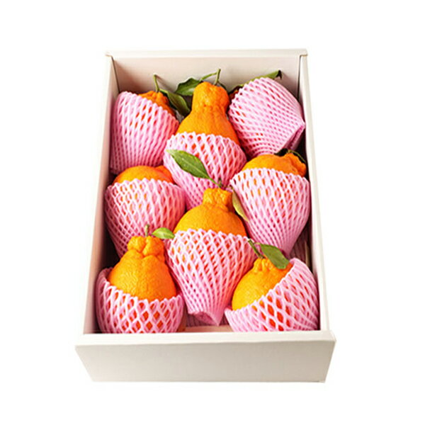 ［愛媛、他］樹熟デコポン