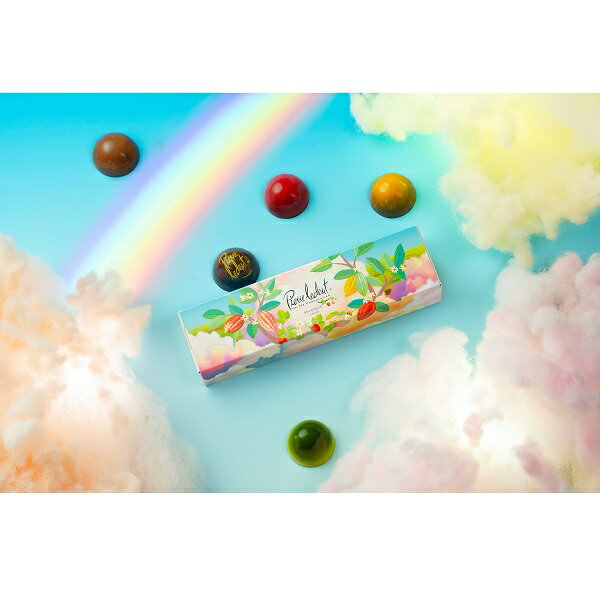 バレンタイン チョコレート 2026 ピエール・ルドン アミューズブーシェ