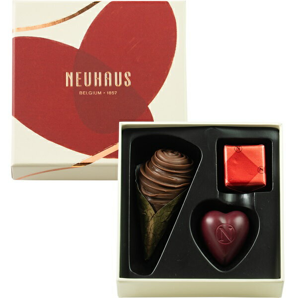 エントリーでP10倍 バレンタイン チョコレート 2026 ノイハウス テイストオブノイハウス 3 エントリーでポイント10倍（2月10日01：59迄）