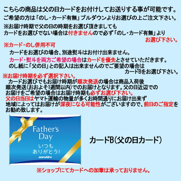 当店限定 母の日 父の日 プレゼント ビール ギフト 送料無料 一部地域除 サントリー プレミアムモルツ マスターズドリーム 無濾過 10缶 セット クラフト 地ビール クラフトビール
