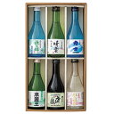 お中元 ギフト 送料無料 (一部地域)「彩の酒」飲みくらべセット YM-06 P16