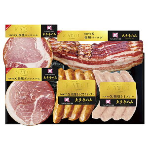 お中元 ギフト 送料無料 (一部地域)大多摩ハムTOKYO Xギフト XA-50 P41