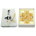 御中元 JA岡山西総社もも生産組合厳選白桃7~8個 OM-B P49