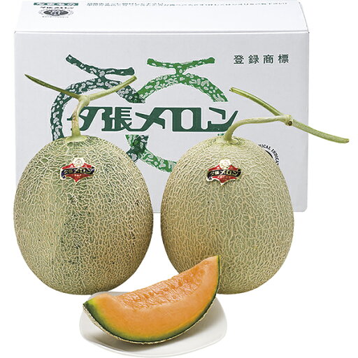 御中元 夕張メロン(2個) YM-W P48 御中元 夕張メロン(2個) YM-W P48