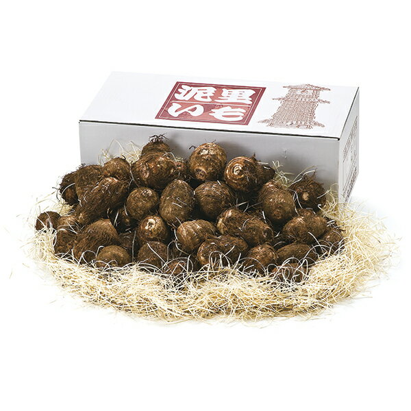 早川農園 泥里芋 DO‐A P13