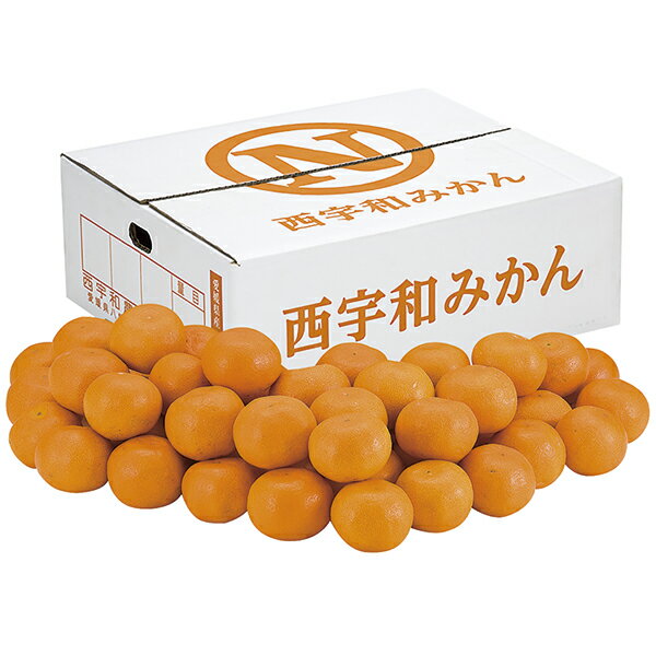 お歳暮 ギフト 指定地域送料無料 JAにしうわ 川上みかん EL‐5 P50