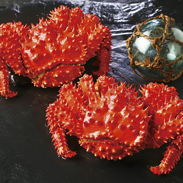 根室・藤井水産 北海道産ボイル花