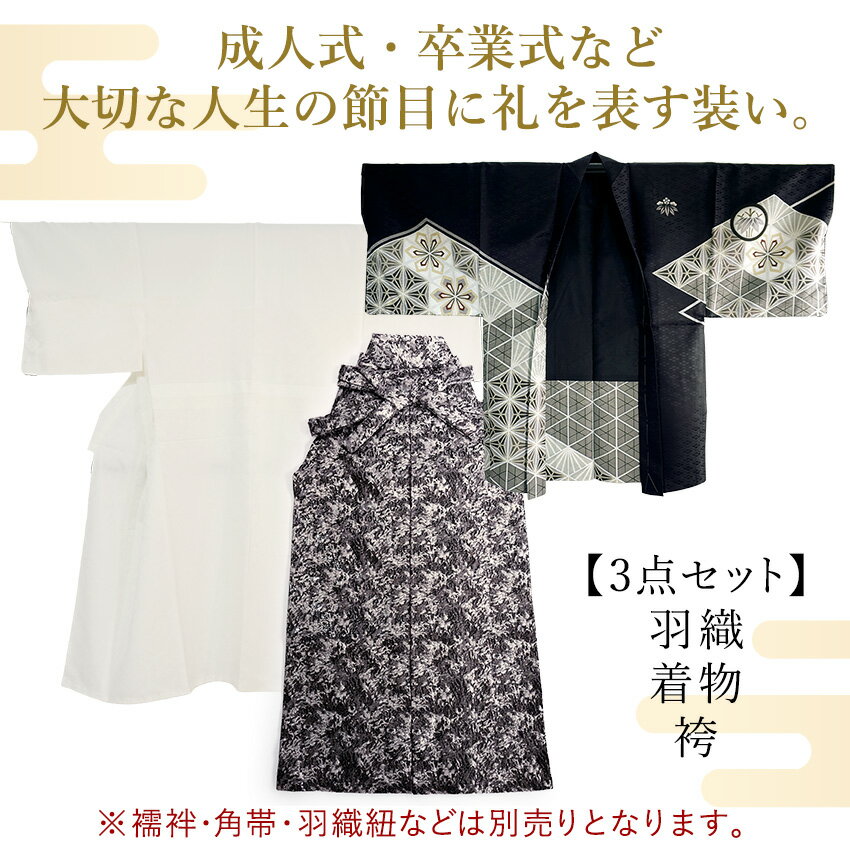 メンズ 羽織 着物 袴 3点セット 黒 ブラックシルバー 幾何学M L LL 成人式 卒業式 洗える着物 きもの 和装 和服 メンズ 男性 紳士 コスプレ