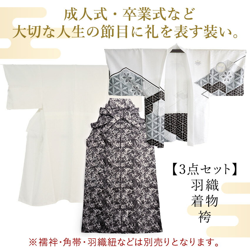 メンズ 羽織 着物 袴 3点セット 白 ホワイトシルバー 幾何学M L LL 成人式 卒業式 洗える着物 きもの 和装 和服 メンズ 男性 紳士 コスプレ