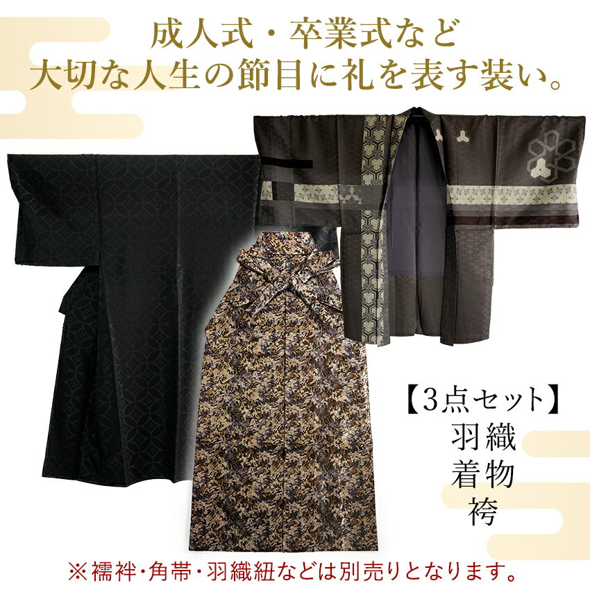 メンズ 羽織 着物 袴 3点セット カーキゴールド 短冊 幾何学M L LL 成人式 卒業式 洗える着物 きもの 和装 和服 メンズ 男性 紳士 コスプレ