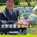 京都スマイルBOX　京野菜産直セット 3,000円コース 農家さんから旬のお野菜をお届けします！