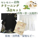 着物クリーニング 3点セット 宅配 正絹 着物 長襦袢 帯 丸洗い 卒業式 入学式 結婚式 七五三 お宮参り 成人式 保存 シミ抜き プレス加工 訪問着 振袖 ...