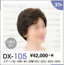 【送料無料】 レオンカ ウイッグ デラクシィ DX-105