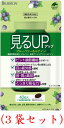 【機能性表示食品】見るUP ブルーベリー＆ルティン 40粒（455mg×40粒）x（3袋セット）